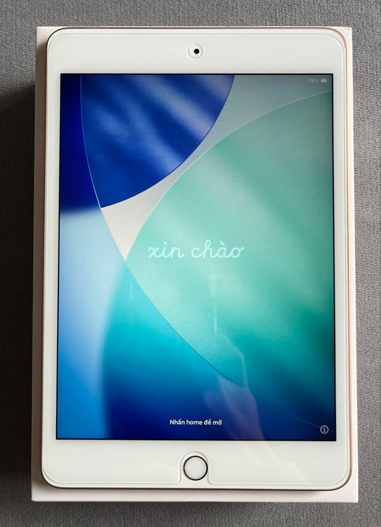 iPad mini 5 Wi-Fi 本体タブレット 64GB ゴールド