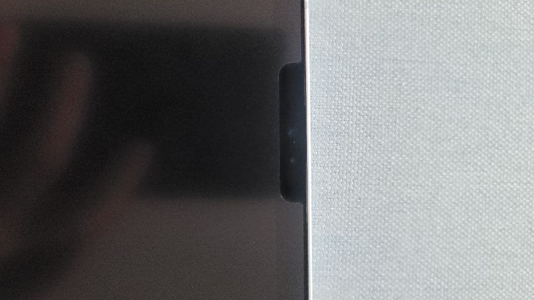 ジャンク iPad Pro 12.9 第3世代 256GB 本体