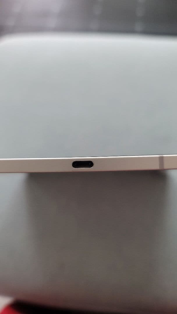 ジャンク iPad Pro 12.9 第3世代 256GB 本体