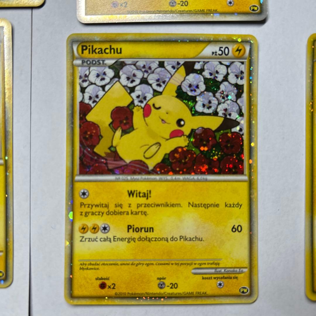 D*l様 ピカチュウワールドコレクション　 PIKACHU WORLD