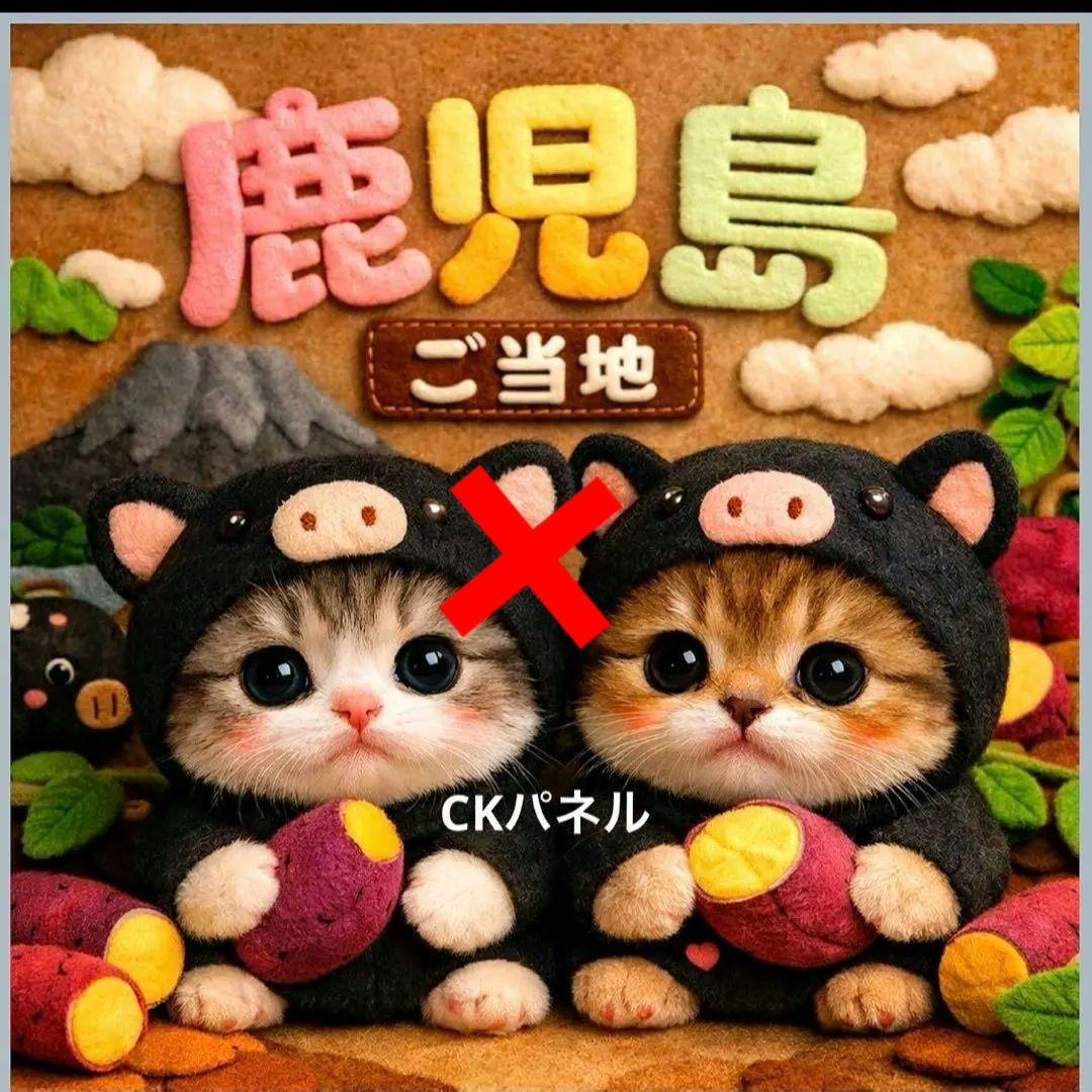 激レア東京、長野、山梨、愛知、静岡、大分、宮崎、鹿児島、熊本、長崎、佐賀パネル