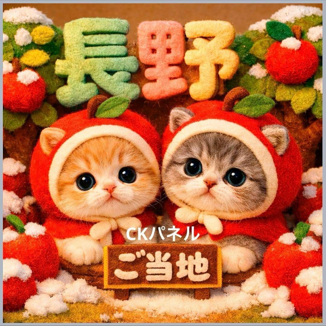 激レア東京、長野、山梨、愛知、静岡、大分、宮崎、鹿児島、熊本、長崎、佐賀パネル