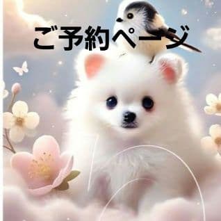 ポメラニアン、柴犬、チワワ、シーズとシマエナガパネル生地　ハンドメイド