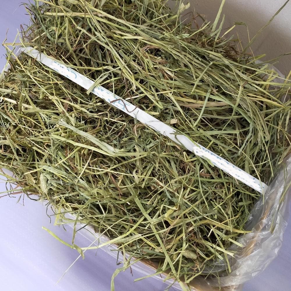 【11/30まで】US産 チモシー 30kg ２番刈り ソフトSプレミアム