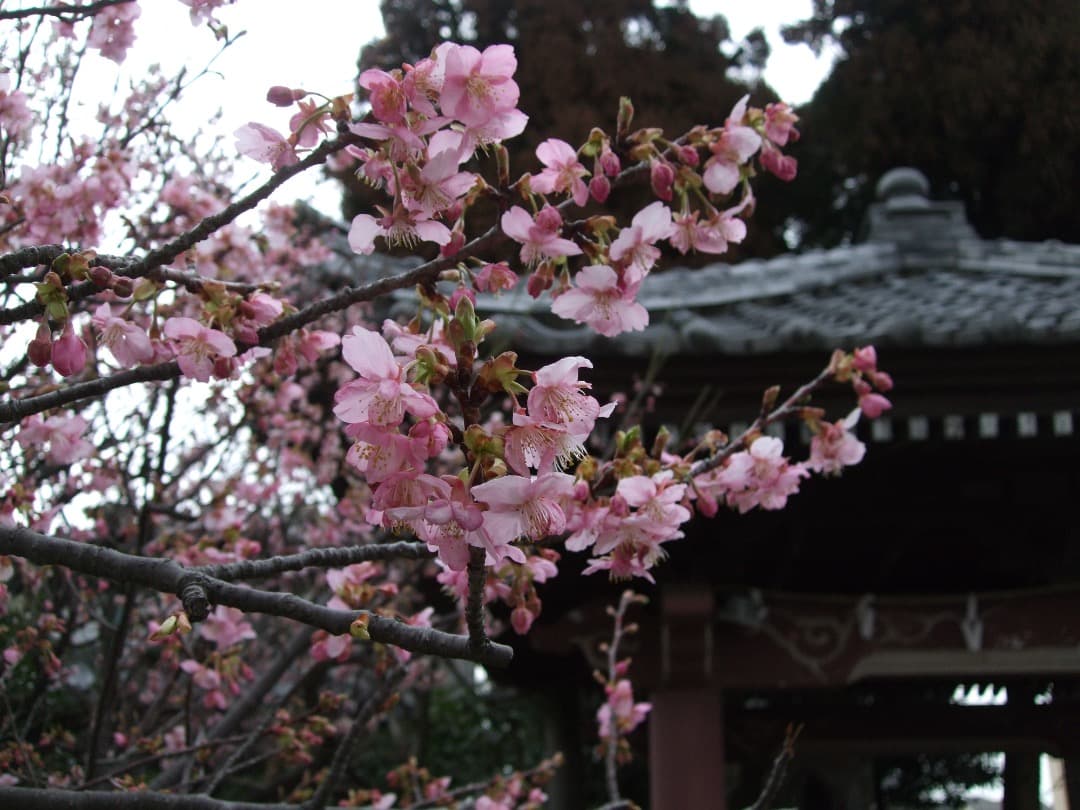 実写美⭕️【動作確認済】FUJIFILM　FinePix F60fd シルバー
