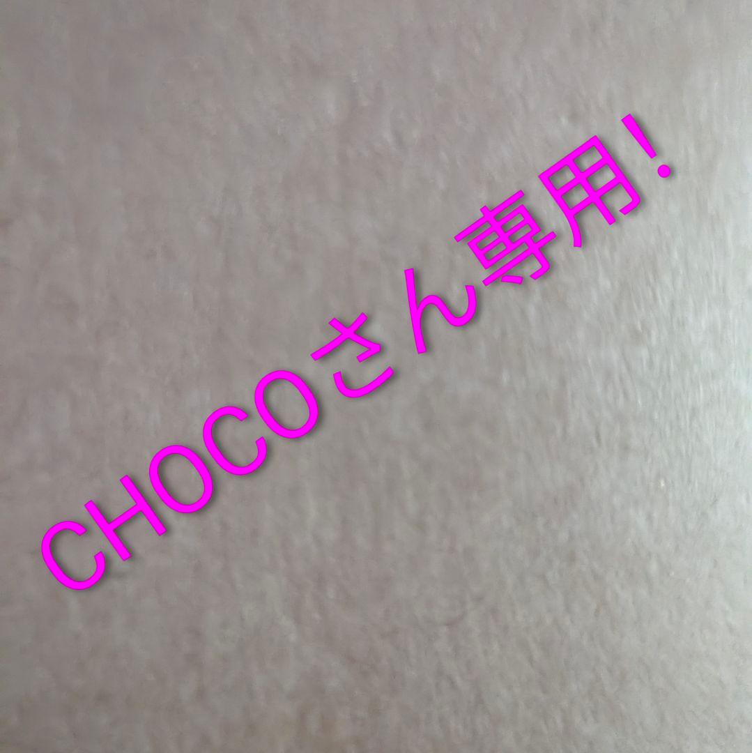 CHOKO専用！　ポケパークのピカチュウ