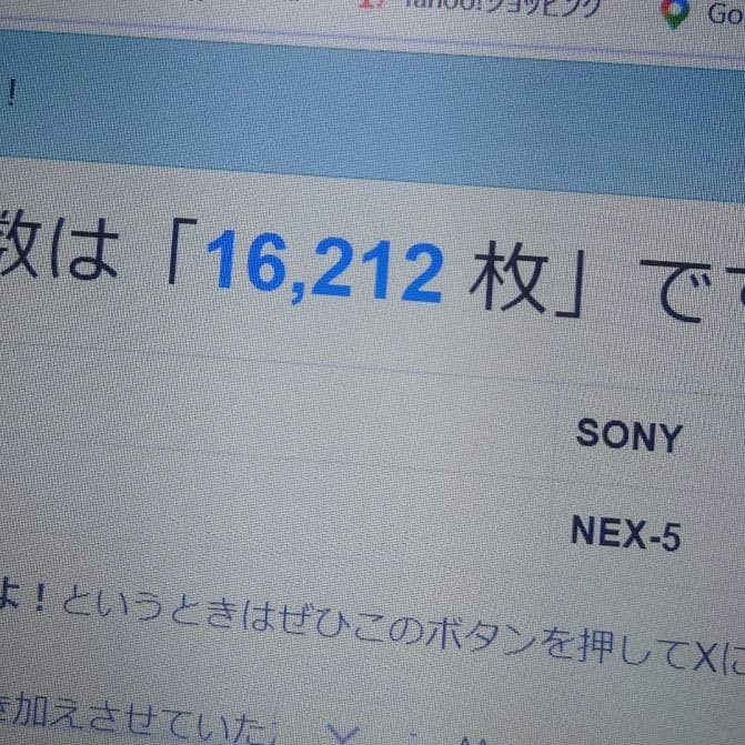 sony nex-5＋sonyE55〜210mmF4.5〜6.3OSS