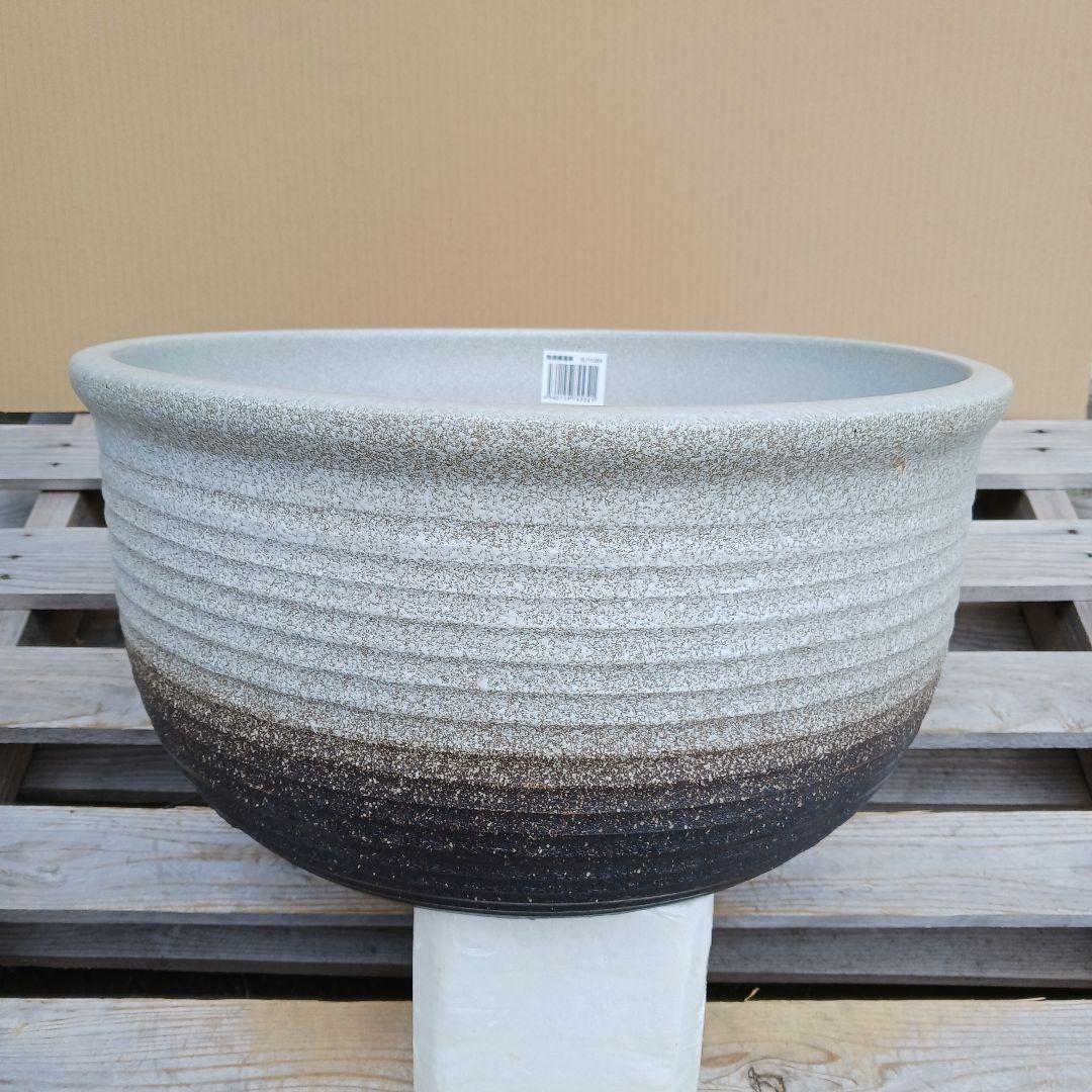 新品　∅50　陶器　睡蓮鉢　特大　難有　メダカ鉢　白　ホワイト　ルーバー　LWH