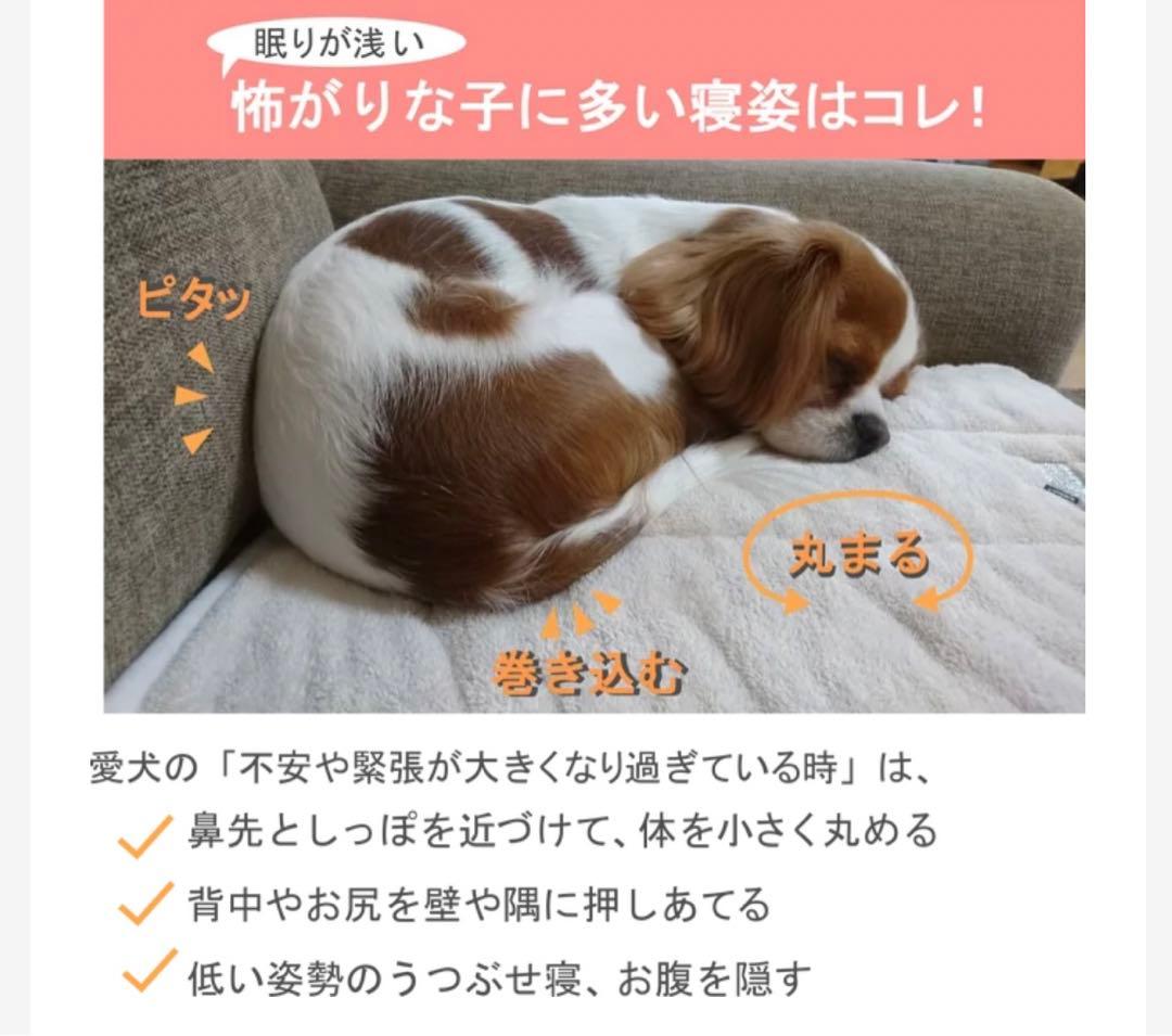 犬用　包み布団の安眠ベッド