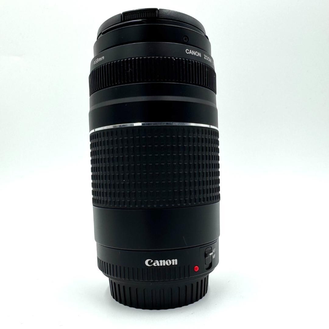 美品 Canon EF 75-300mm F4-5.6 III USM #117