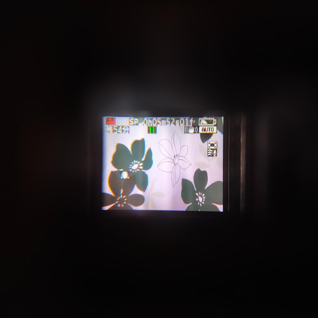 Panasonic NV-GS250 MiniDVビデオカメラ ダビングに