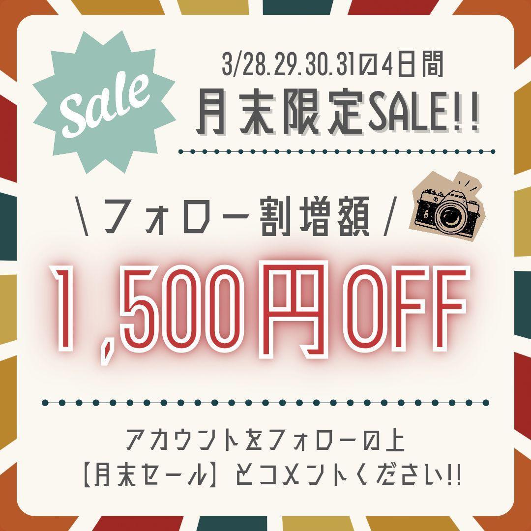 ☘️初心者向き✨️ キャノン Kiss X5 一眼レフ 手ぶれ補正レンズ 美品