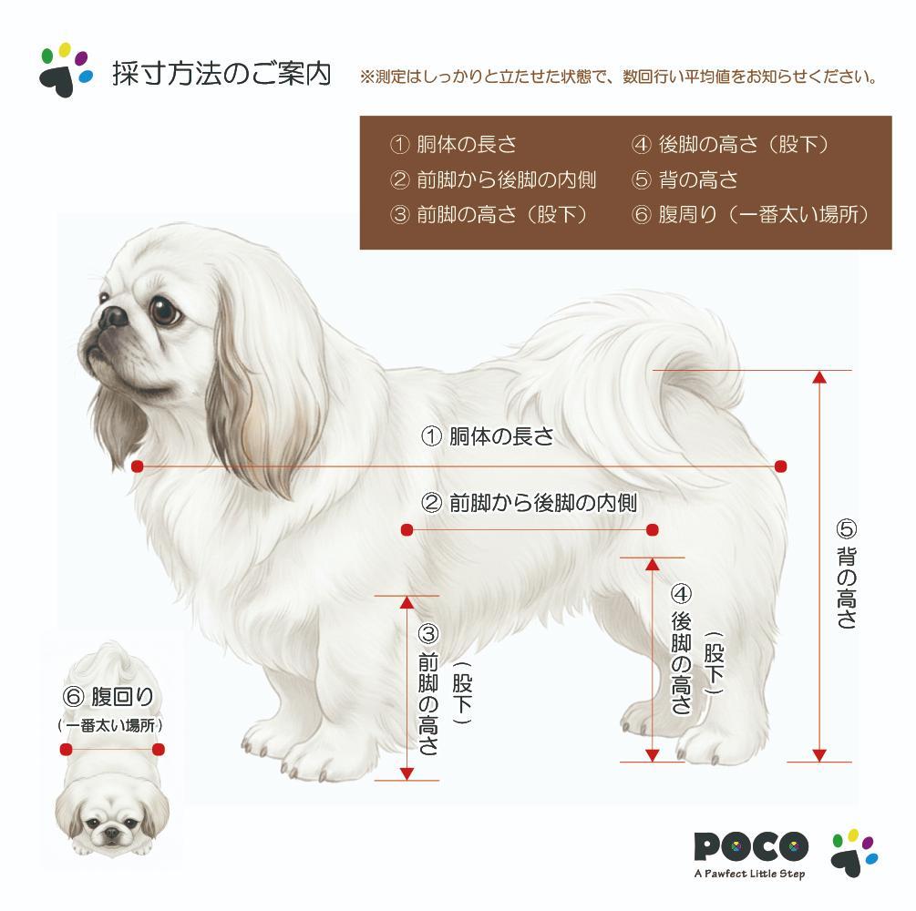 【先着５名様限定価格】愛犬４輪歩行器【サイズ調整可】介護・リハビリetc...