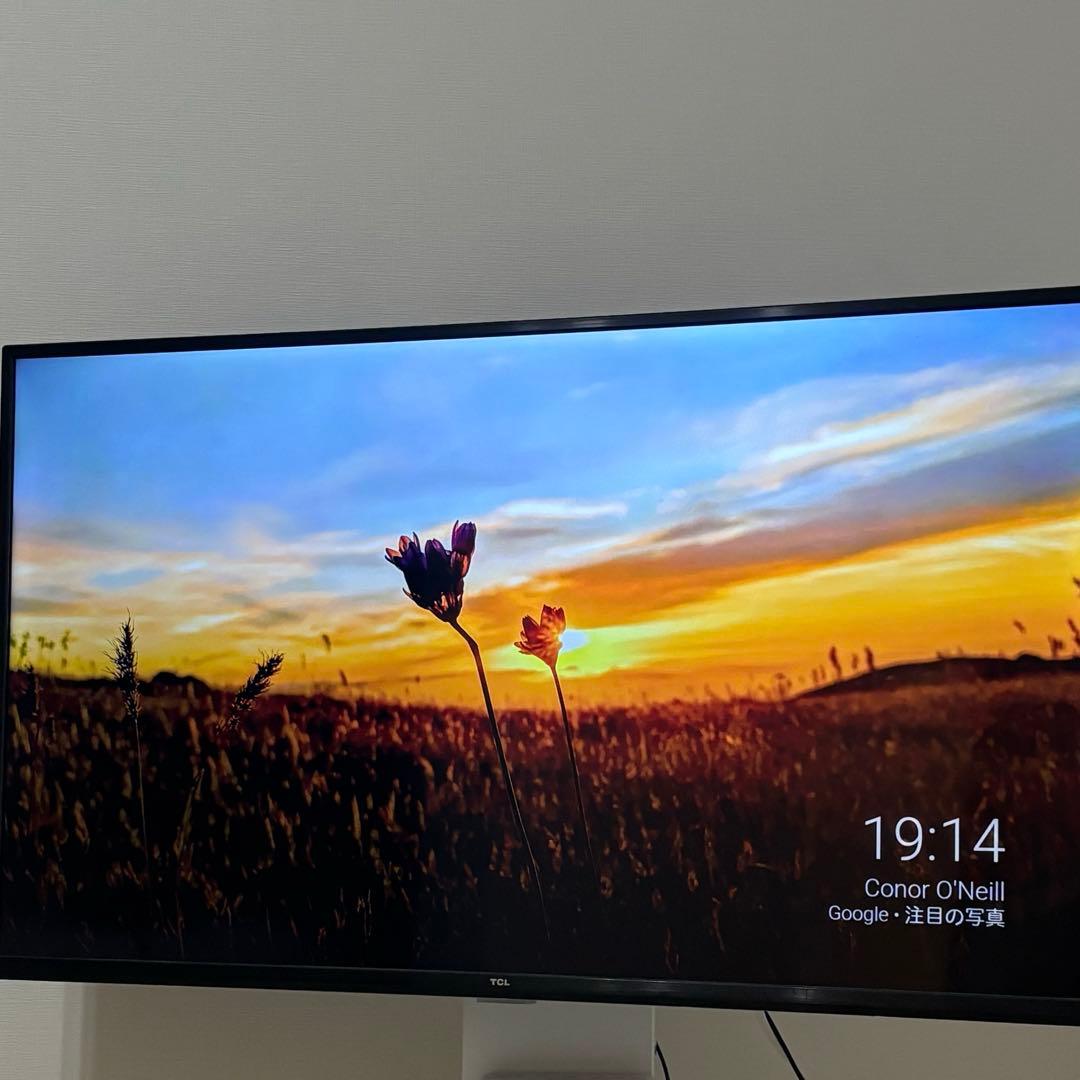 TV 4月中旬発送