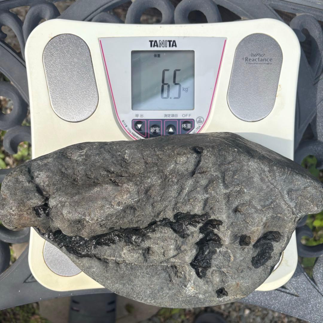 【お値下げ 希少 八海山石6.5kg ウブ石】アクアリウム ジャグレ石 水無川