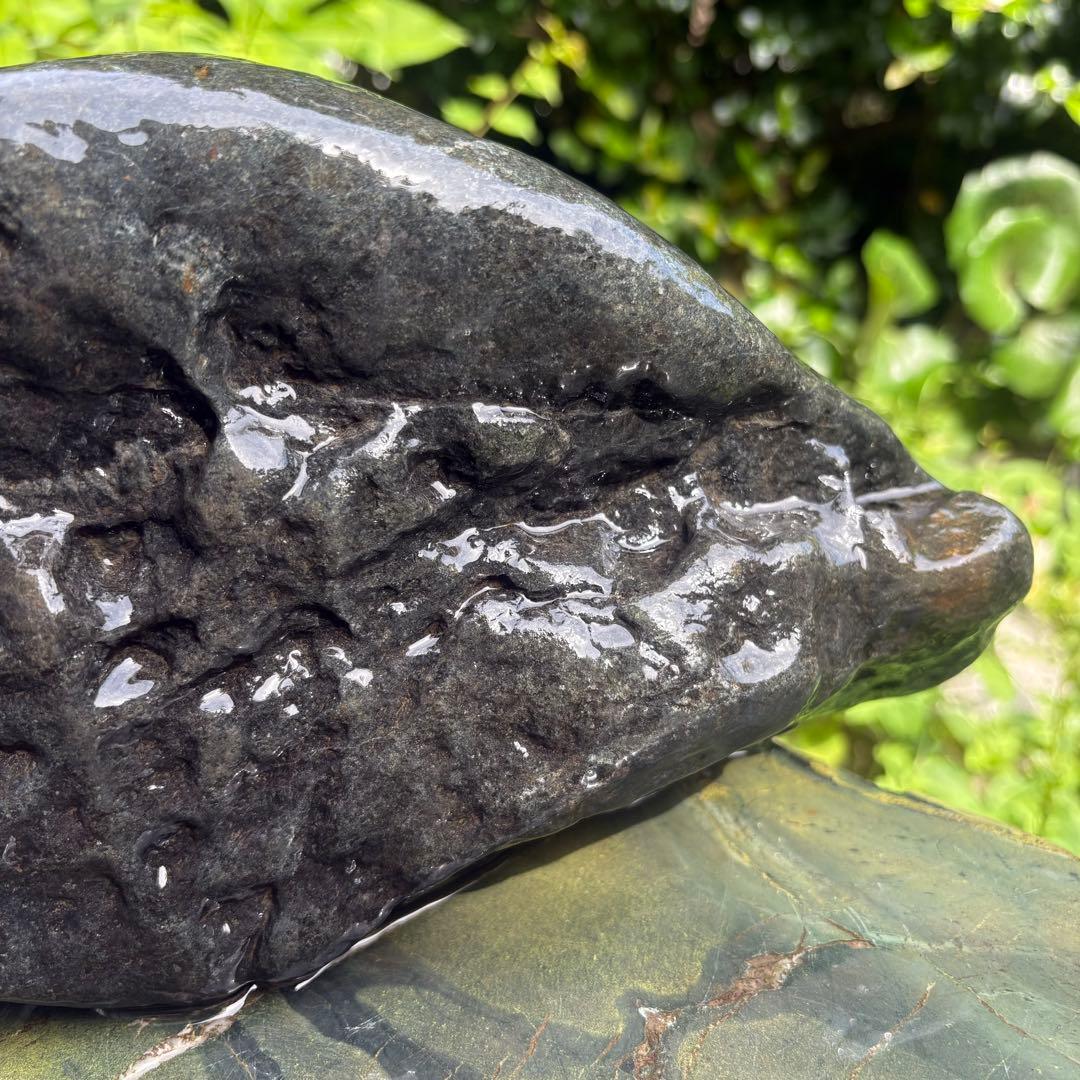 【お値下げ 希少 八海山石6.5kg ウブ石】アクアリウム ジャグレ石 水無川