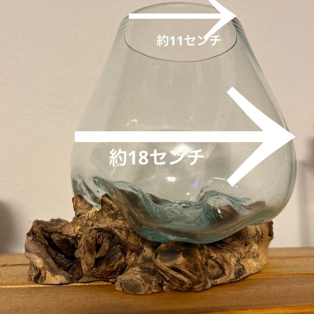天然木ガラスオブジェ　水槽　お洒落