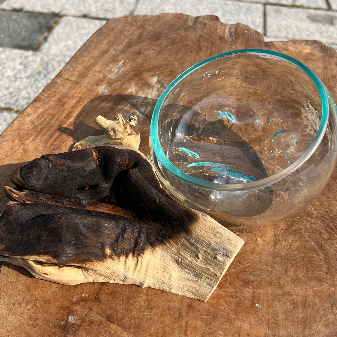 流木ガラスオブジェB15B 花瓶 金魚鉢 ガーデニング テラリウム 観賞魚 容器