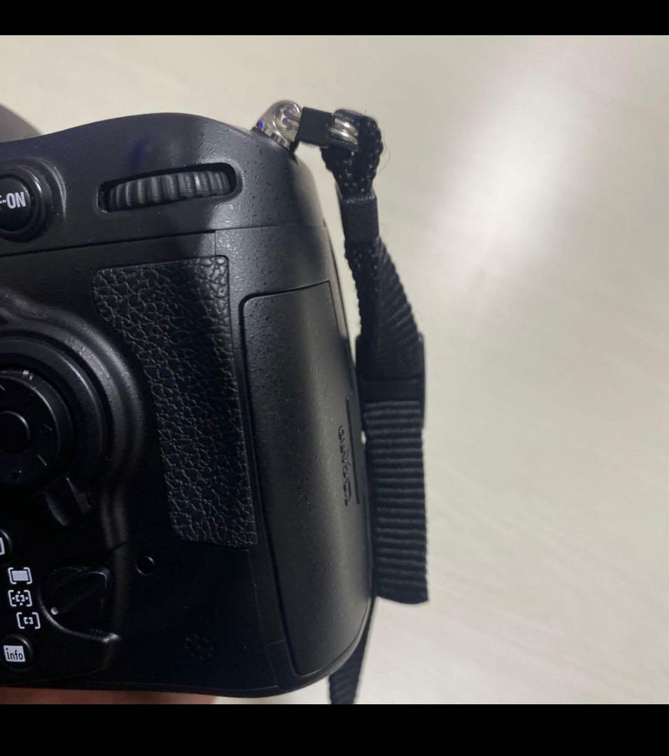 ジャンボNikon D300S&AF-S ニコン　一眼レフ　値段交渉可