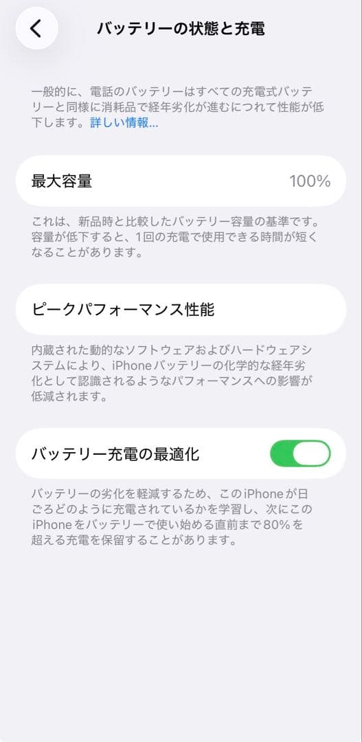 iPhine 12 mini 256GB バッテリー100% ブルー