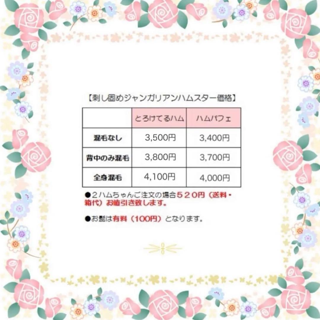 【現在受付休止中】羊毛フェルト　ハムスター　オーダー受付専用ページ