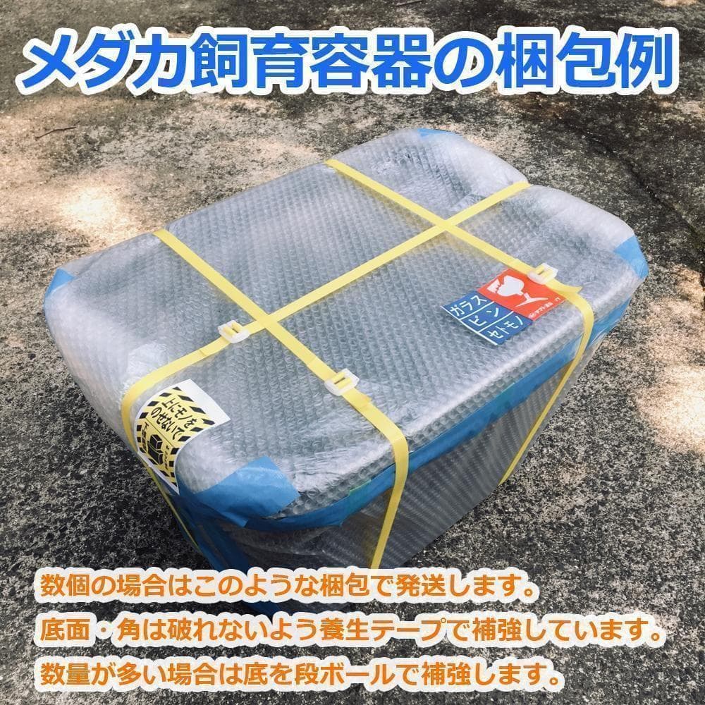 メダカ飼育ケース 75㍑x4個 黒・深緑あり オーバーフロー 金魚飼育容器 睡蓮