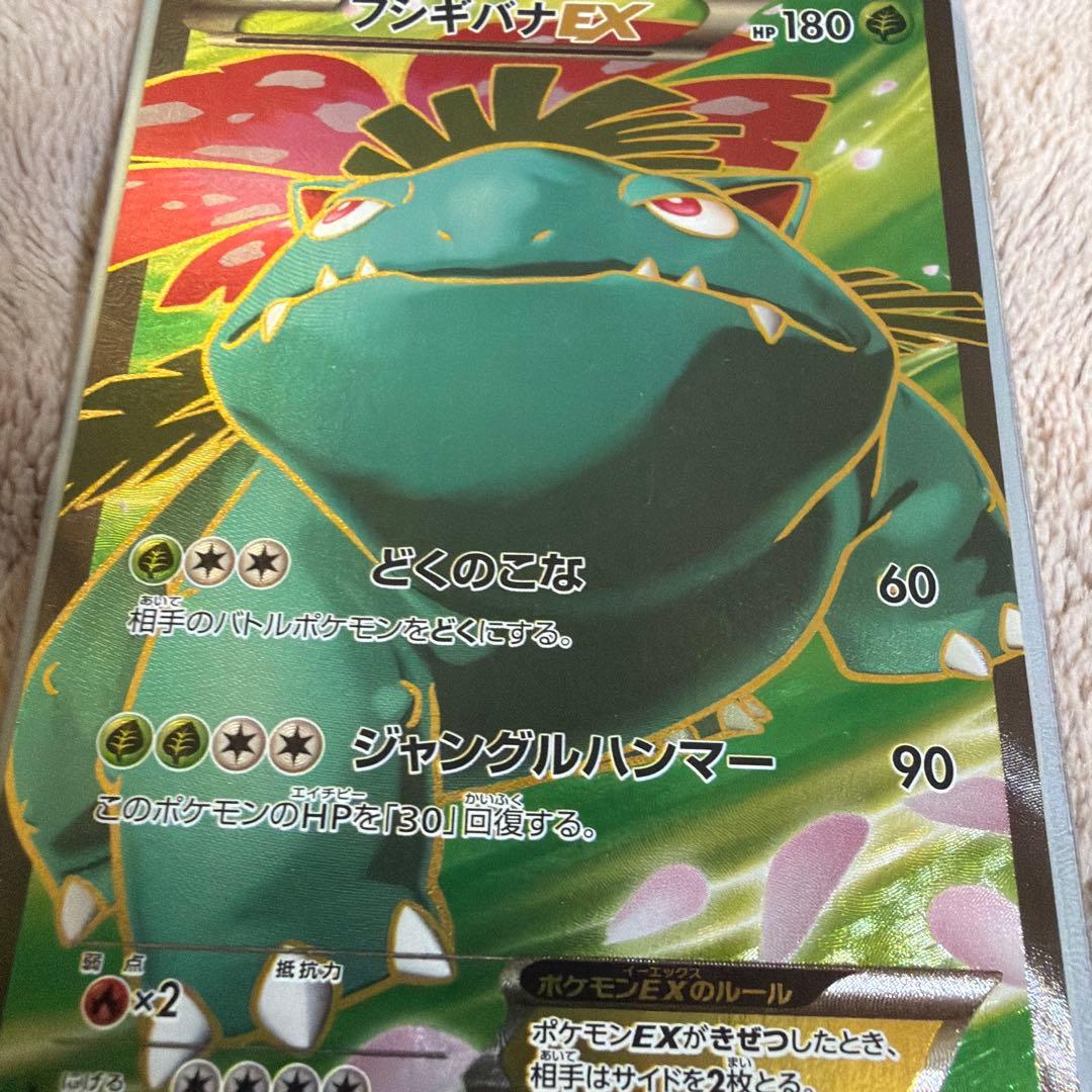 フシギバナEX SR