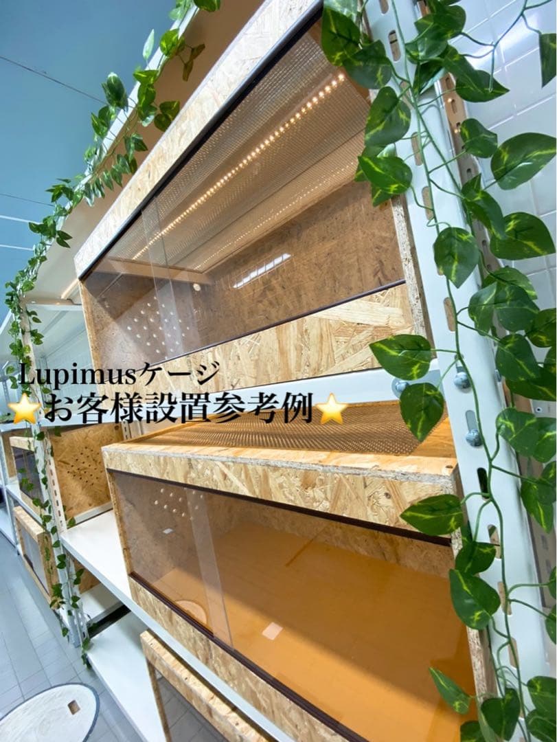 爬虫類ケージ　爬虫類飼育ゲージ　90×45×45際　天井金網仕様