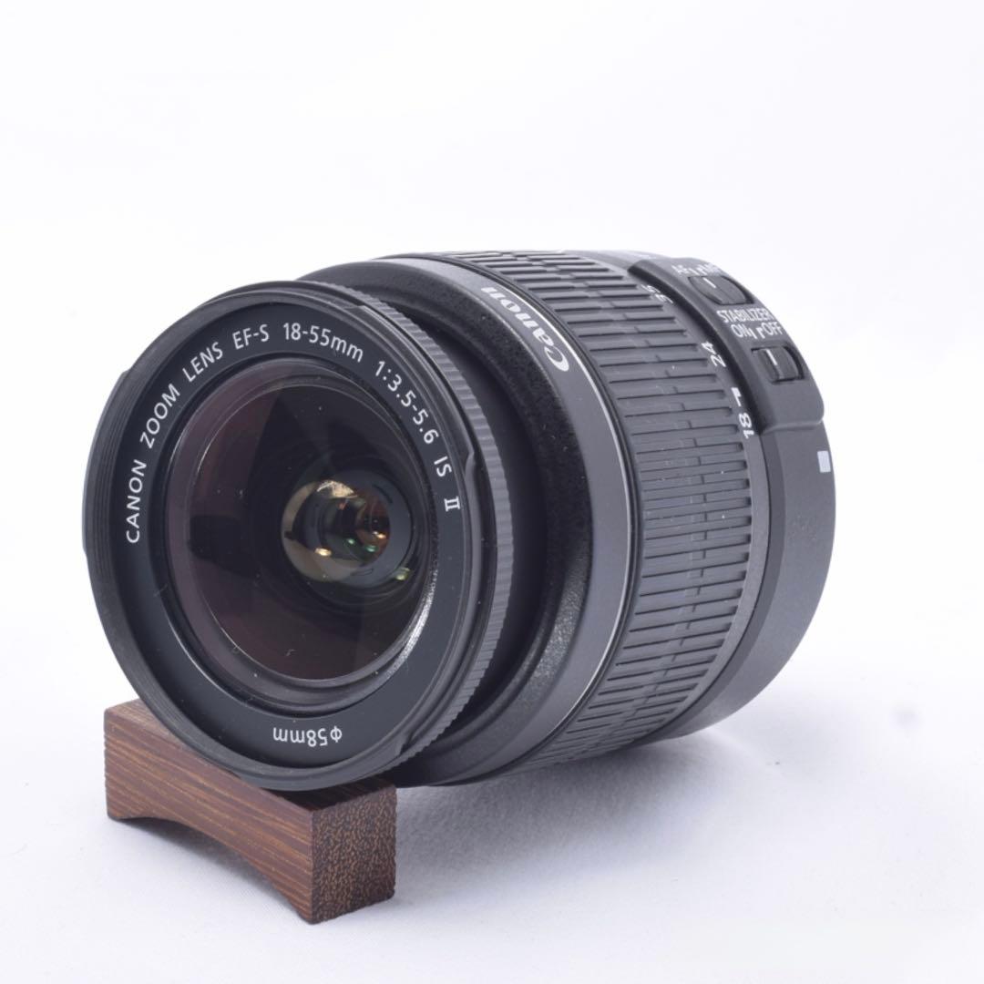 ⭐️お花見や入学式などに最適⭐️Canon EOS 50D 一眼レフカメラ