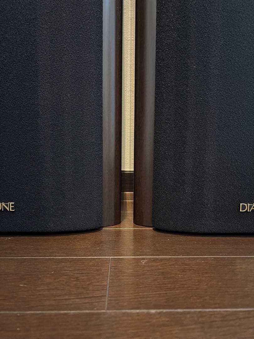 タケポン ①左 2点同時購入必須 DIATONE DS-1000Z