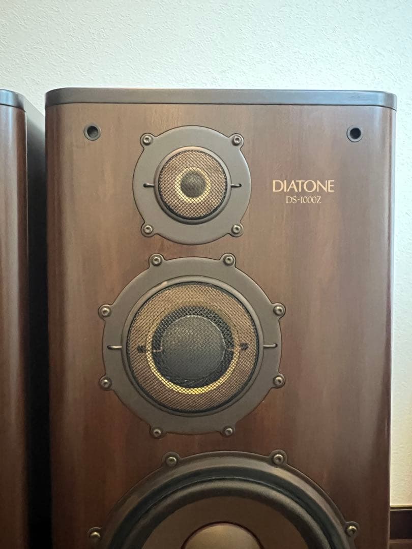 タケポン ①左 2点同時購入必須 DIATONE DS-1000Z