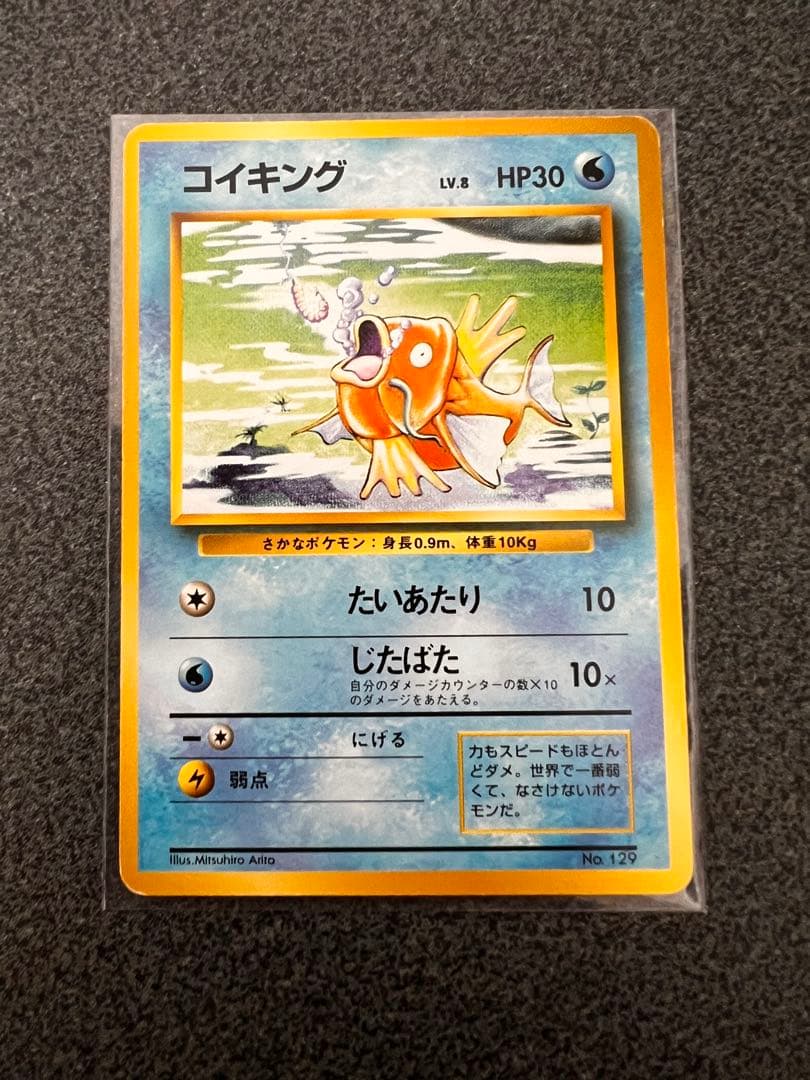 ポケモンカード引退品(Magikarp Collection Lot )
