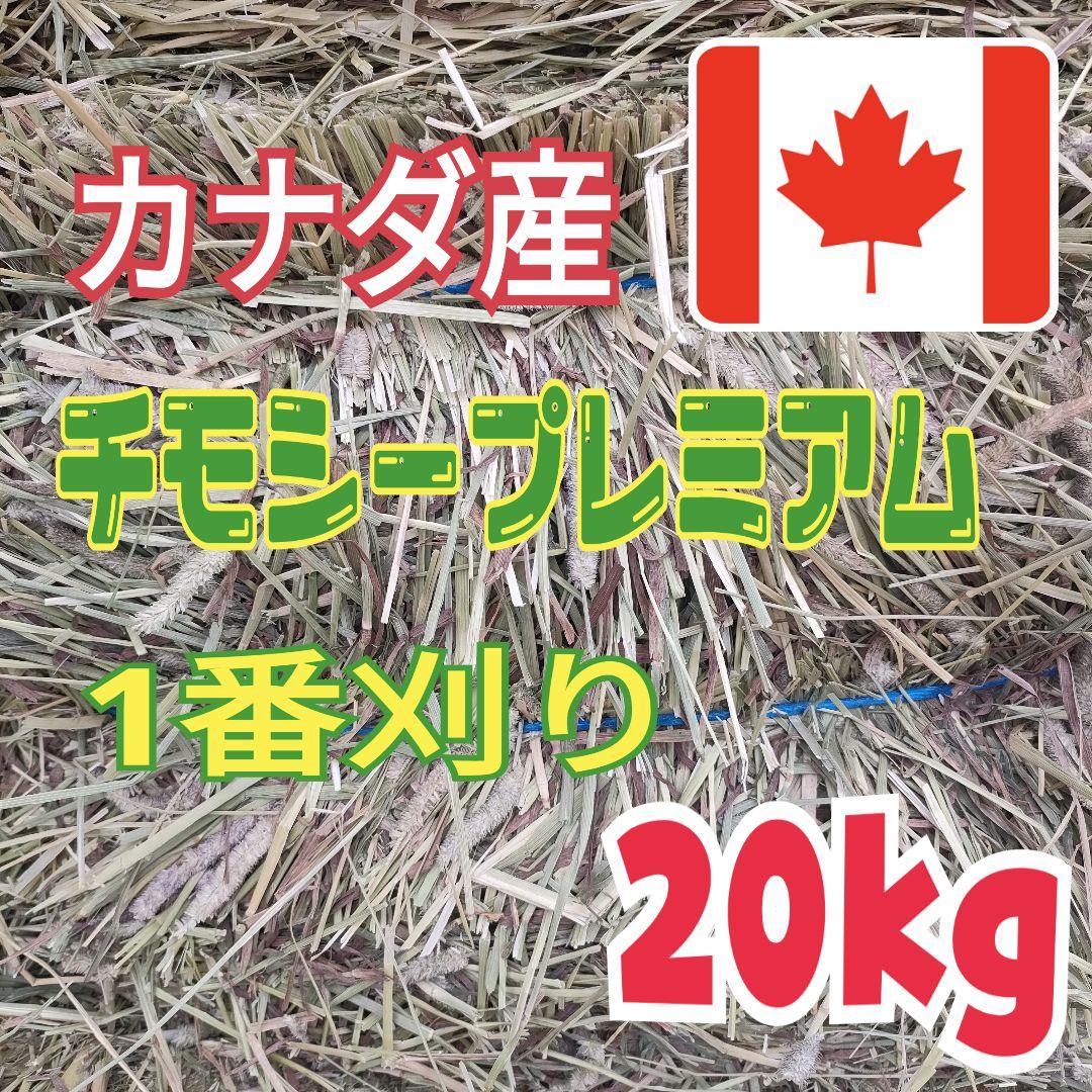 【カナダ産】チモシー20kg☆プレミアムグレード☆1番刈り☆R6年産