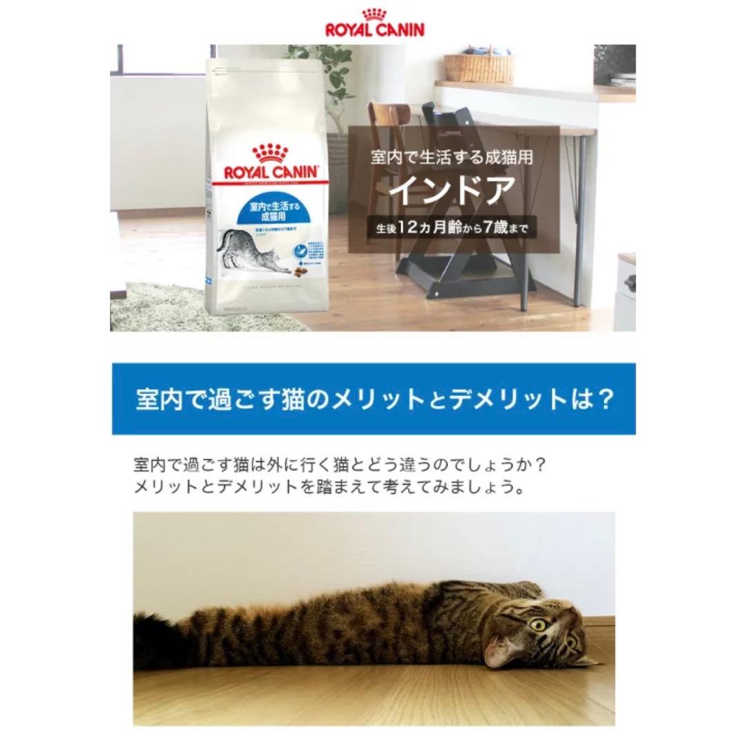 ハロウィン限定★ロイヤルカナン❤️室内で生活する成猫用 インドア❤️4kg新品未開封