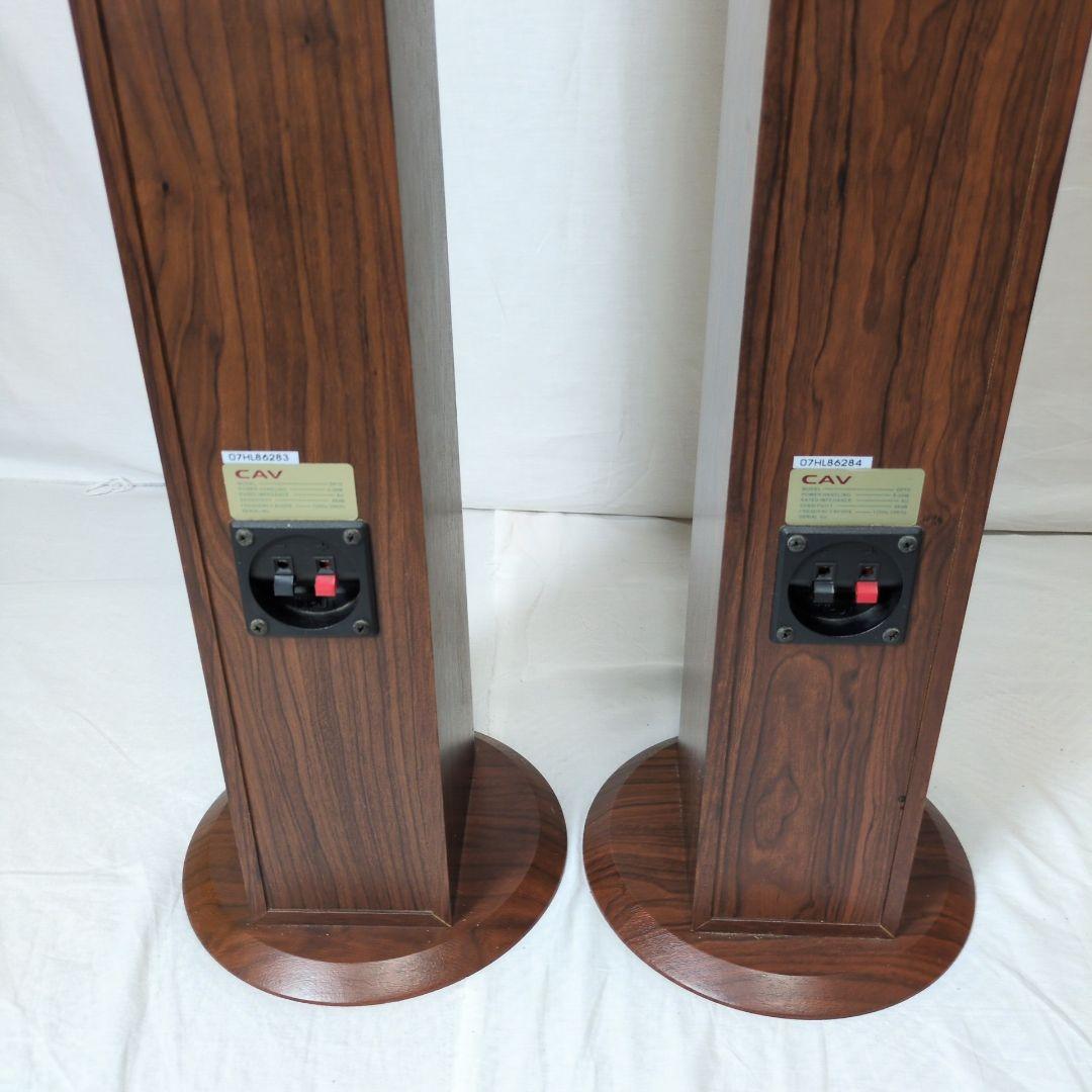 ◎動作確認済み◎CAV ホームシアターシステム SW260 スピーカー DP10
