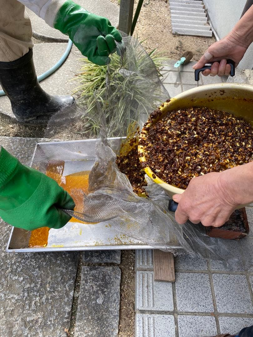 ミツロウ　ニホンミツバチの蜜蝋　国産天然みつろう　誘引.ハンドメイド
