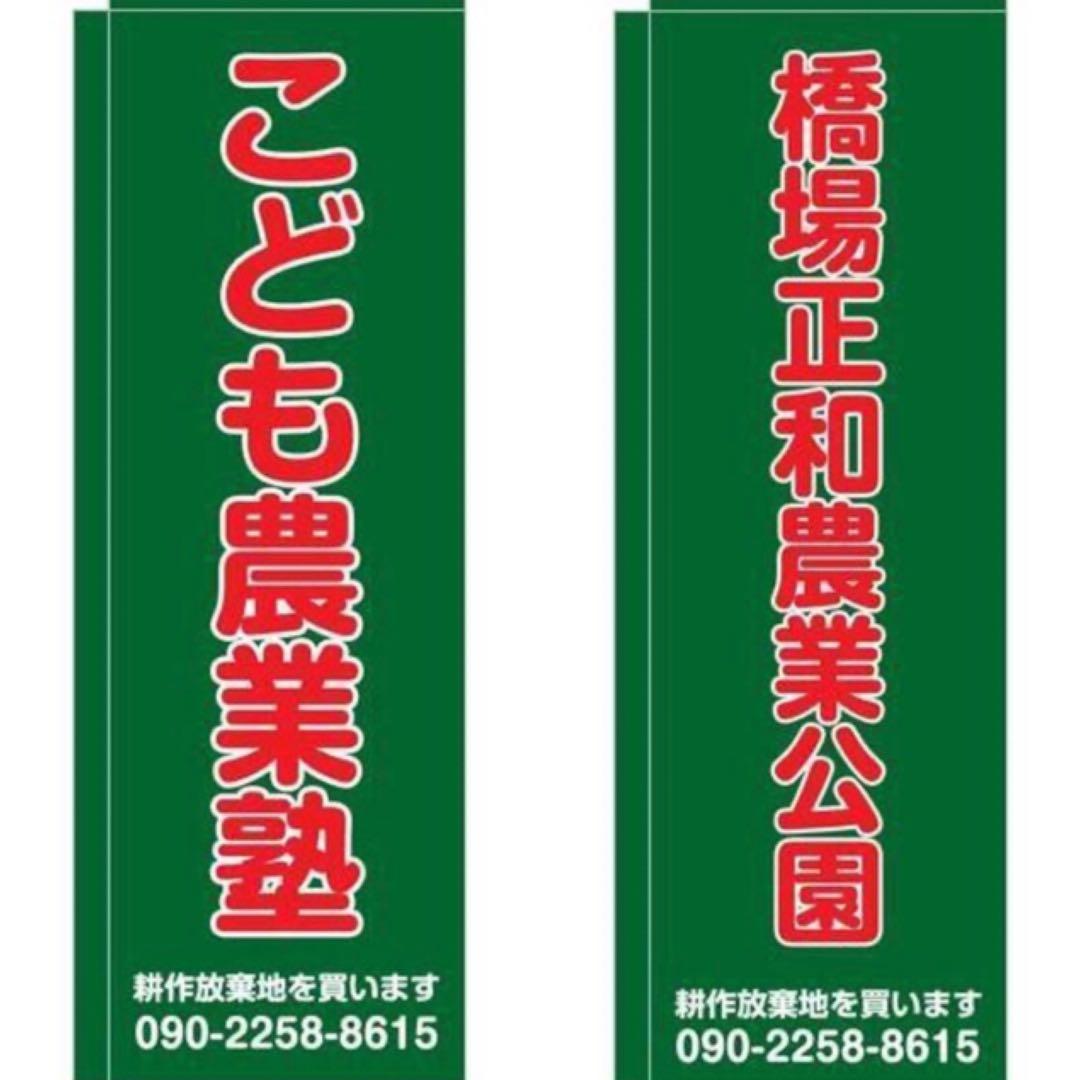 イタリア雑貨・大皿・飾皿【デルータ　マヨルカ焼き　高級絵皿　天使　オーバル皿】