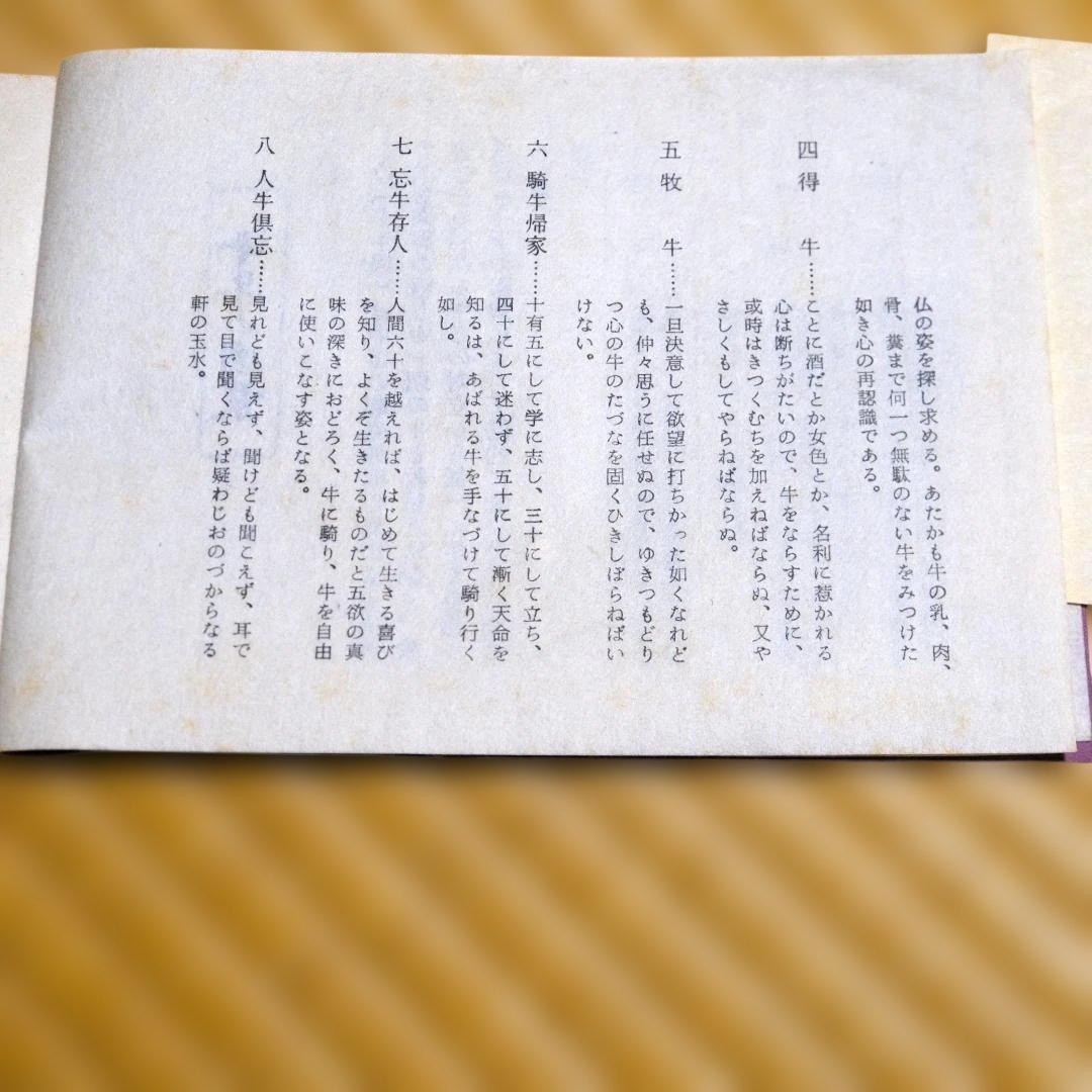 十牛図　数茶碗10個 信楽壷中窯　保庭楽入作