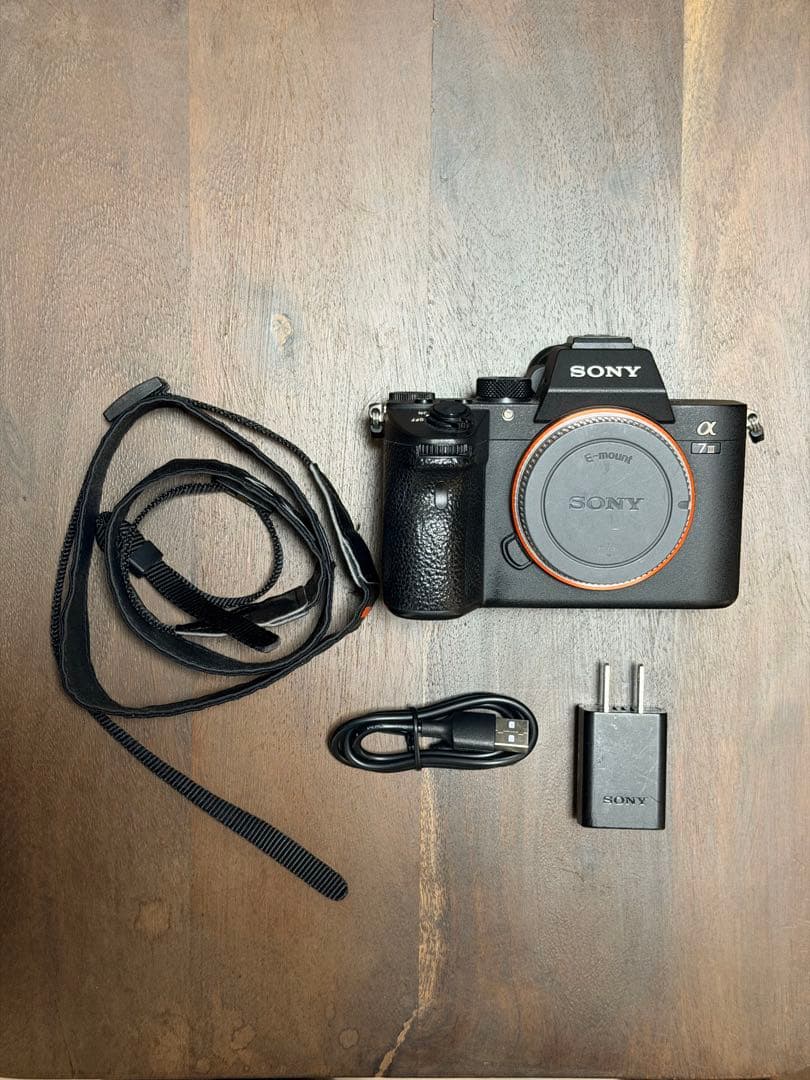 SONY α7 III ミラーレス一眼 ボディ リグ