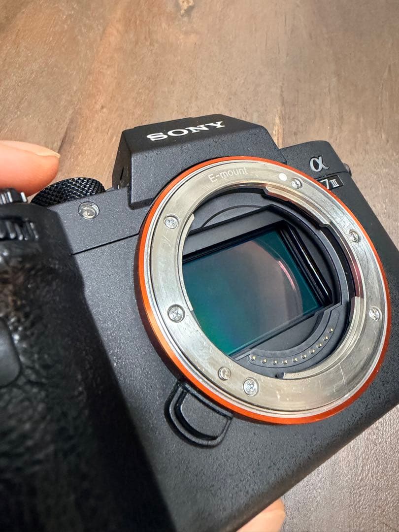 SONY α7 III ミラーレス一眼 ボディ リグ