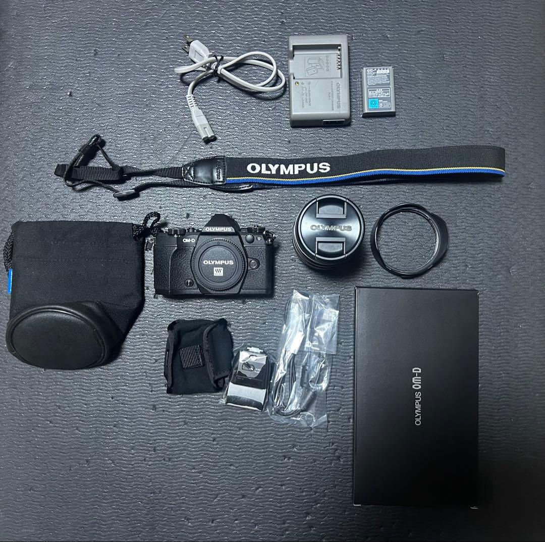 [希少 ショット数2041]OM-D E-M5 Mark II PROキット