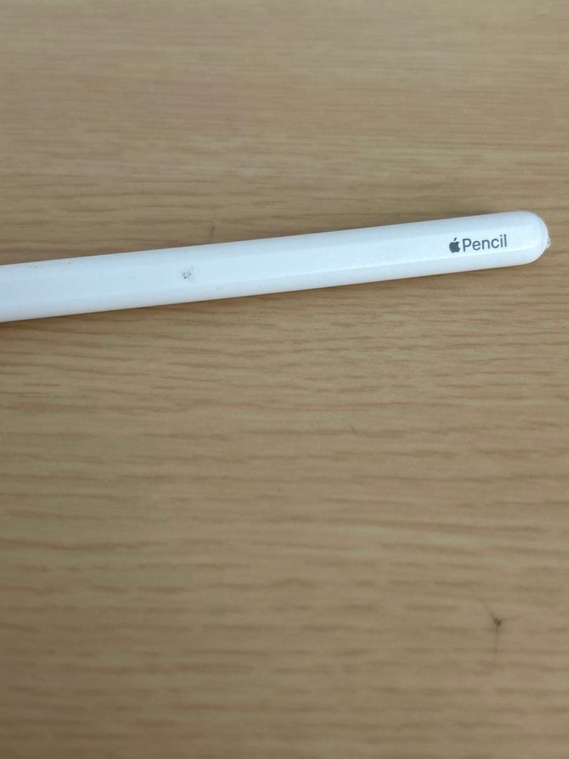 iPad Pro （第2世代 11インチ）Apple Pencil（第2世代）
