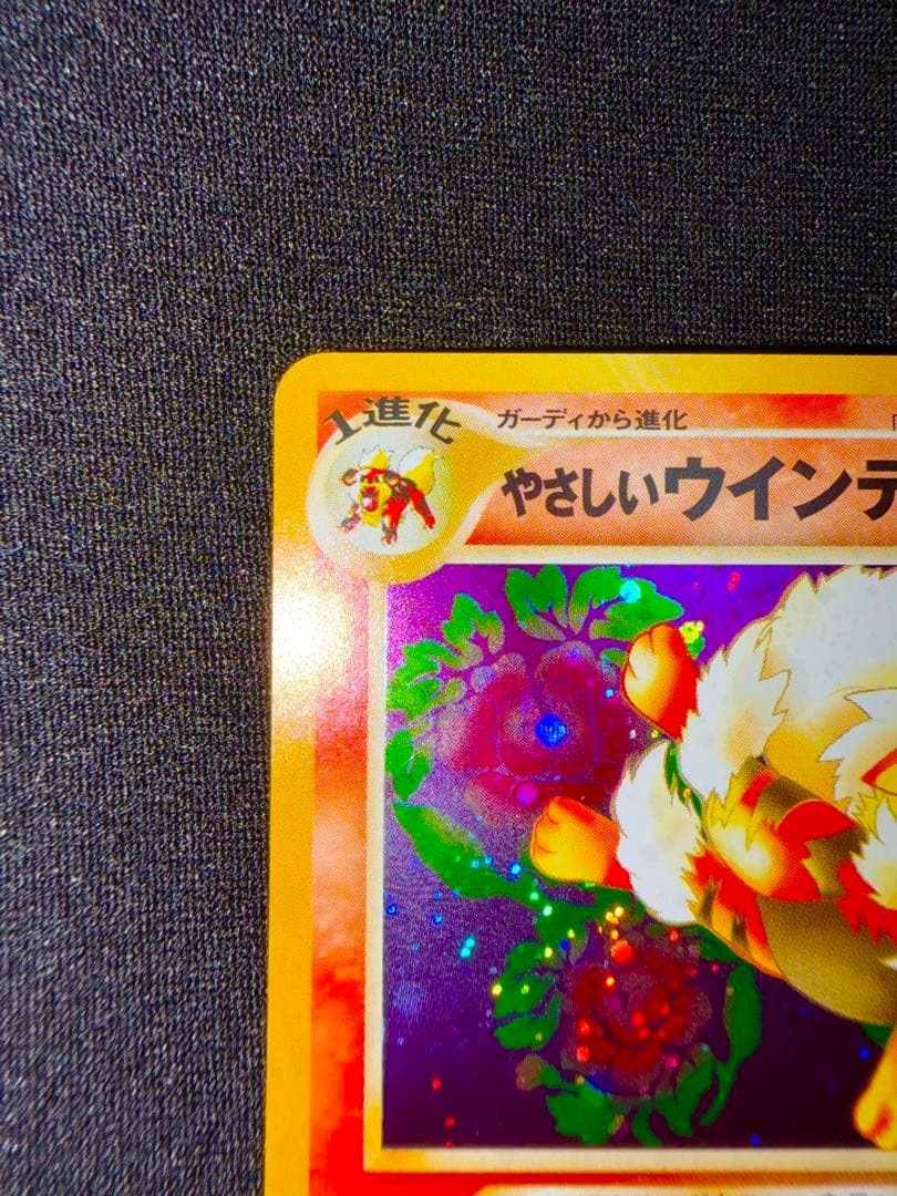 【美品】やさしいウインディ ★ 拡張パック第4弾 闇、そして光へ… 旧裏