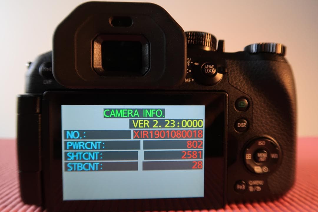 美品 LUMIX DMC-FZ300 ネオ一眼デジカメ