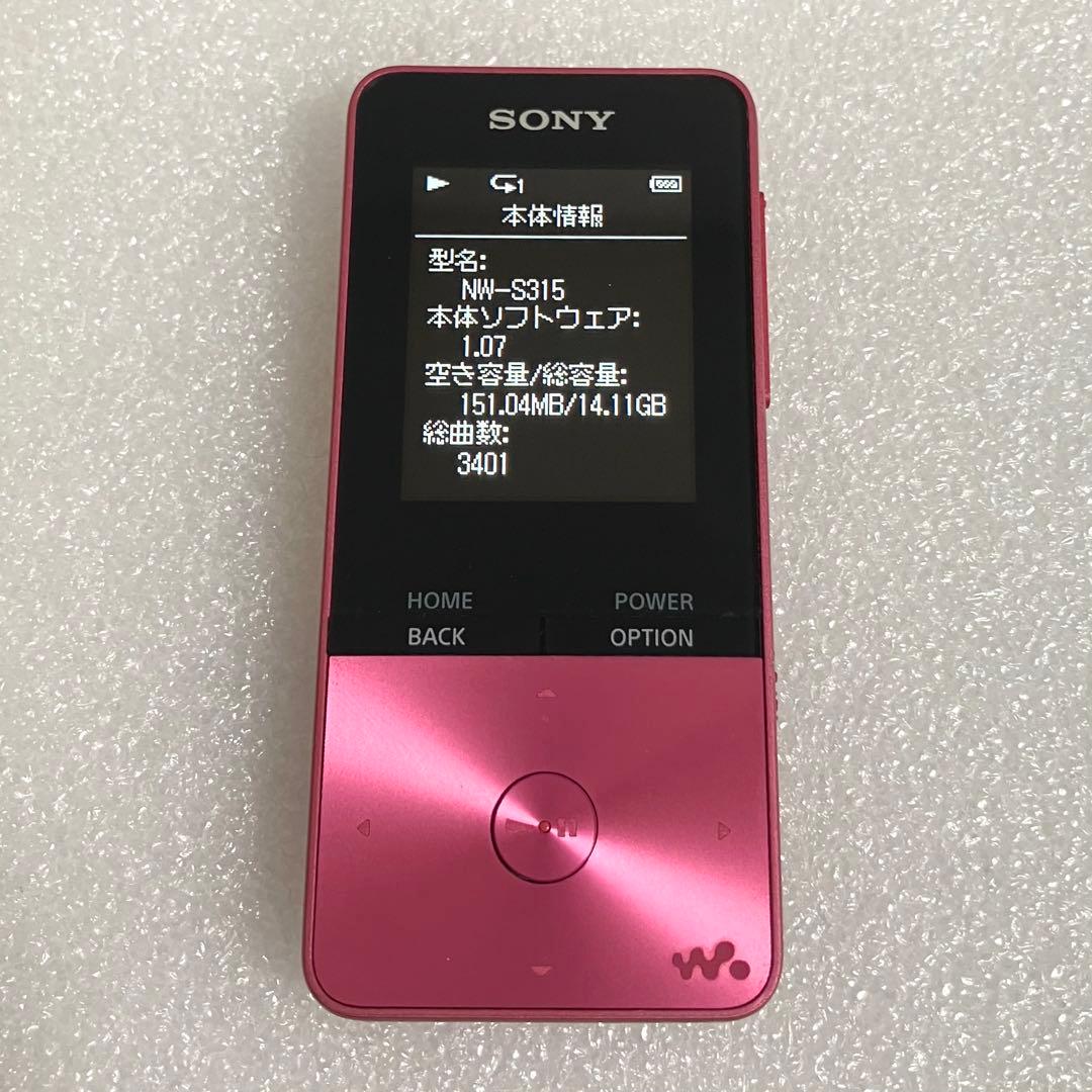 【ディスプレイ　バッテリ良好】SONY ウォークマン　NW-S315 16GB