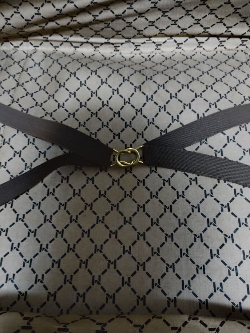 私の旅行バッグValigeria Pelletteria Richini bag