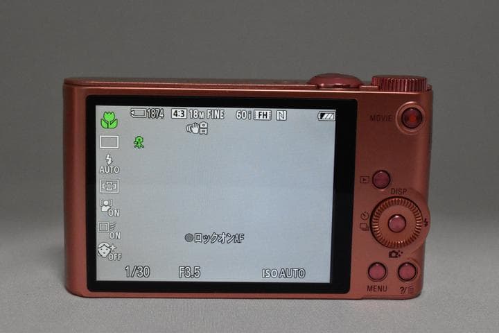 【ケース付き】ソニー SONY Cyber-shot DSC-WX350 ピンク