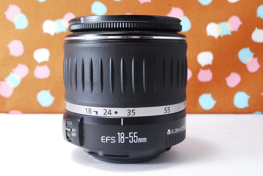 ✨初心者おすすめ✨シャッター数3039回✨Canon 50D レンズセット