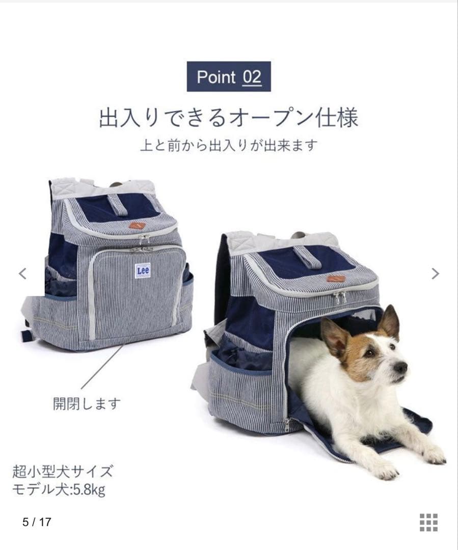 Lee ストライプ キャリーバッグ　【美品】