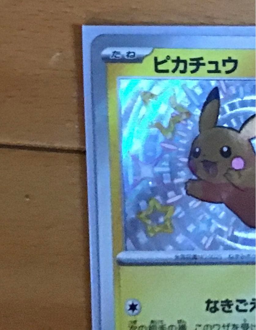 ピカチュウ￼&ナンジャモのモノハラバリー